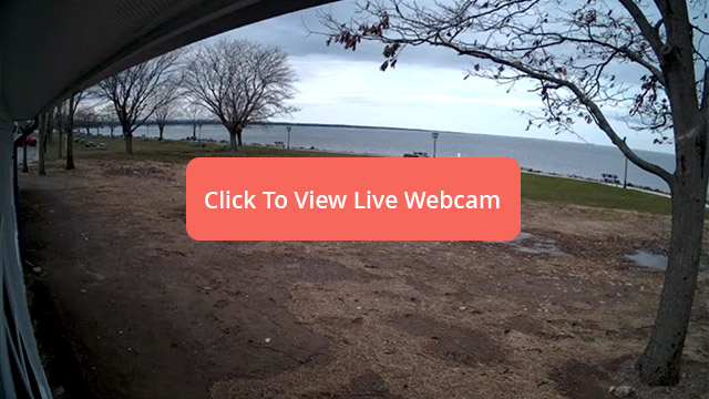 Click To View Webcam